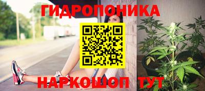 амф Будённовск