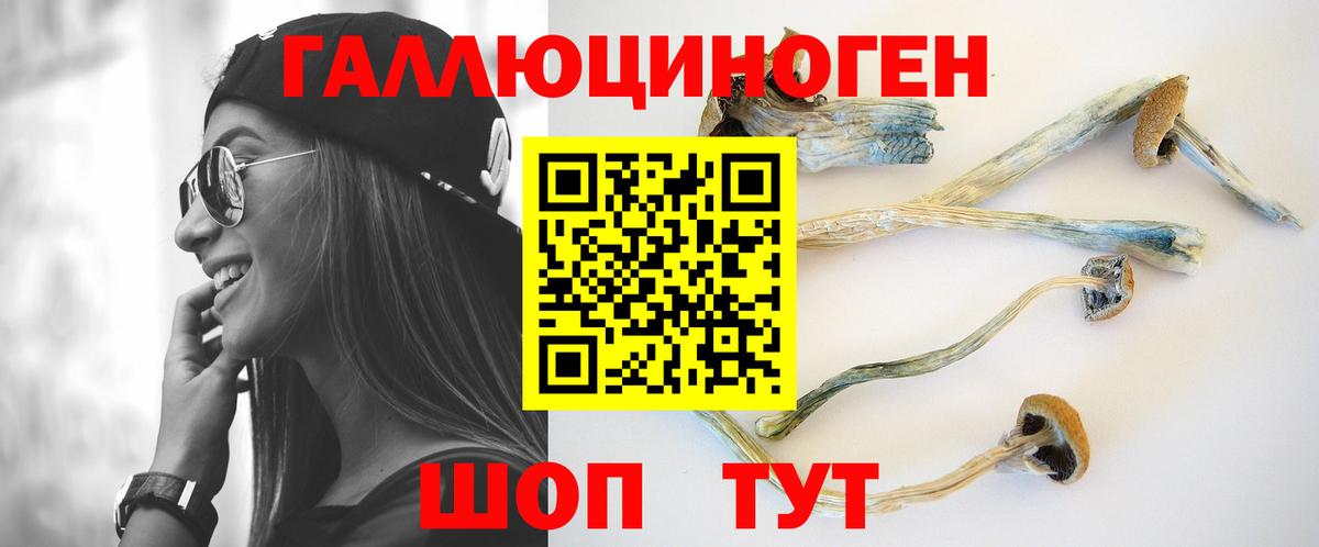 Псилоцибиновые грибы мицелий Красный Сулин
