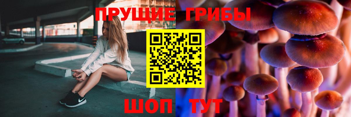 купить  сайты  Вход с VPN  Красный Сулин  Галлюциногенные грибы Cubensis 